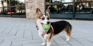 Westloop at the Diamond Interchange Gallery 7