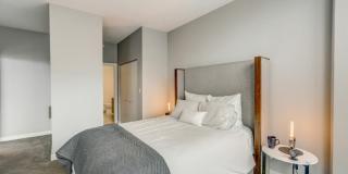 Arrive Lex Gallery 58