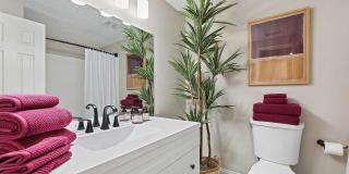 Edenfield Shores Gallery 17