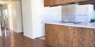 7800 N Nicole Place Gallery 18