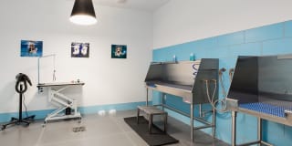 Ora Gallery 49