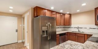 Location!! Updated 1 bedroom Gem on Pearl St. in Govenor's Park! Gallery 5