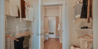 Artistry on Greenwich Gallery 43