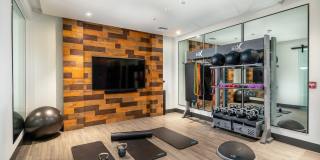 Ovelo Hollywood Gallery 23