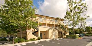 Sunny Creek Gallery 23