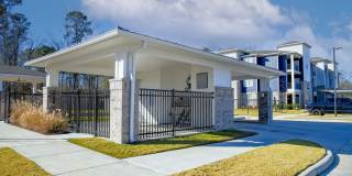 Waters at Hammond Gallery 19