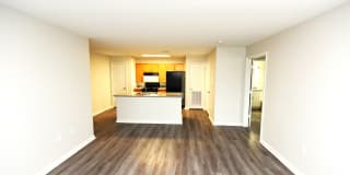 Ashton Heights Gallery 14