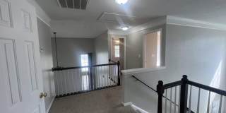522 Peach Grove Place Gallery 24