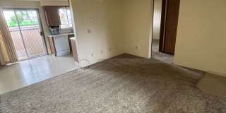 1 Bedroom 1 Bathroom at Hollywood Park Apartments Gallery 16