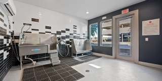 Windsor Metro West Gallery 37