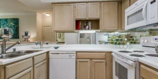 Las Palmas Gallery 45