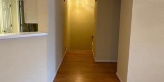 10715 Symphony Way Gallery 8