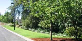 Willina Ranch Gallery 12