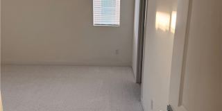 2074 Wild Wood Gallery 17