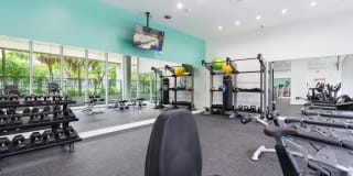 Zoi House Gallery 13