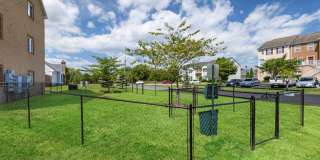 Linden at Martinsburg Gallery 12