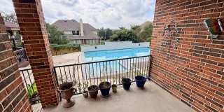 234 Gazelle Leap Gallery 24