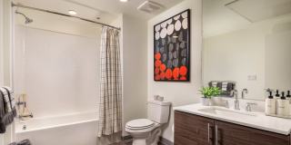 Ovelo Hollywood Gallery 19