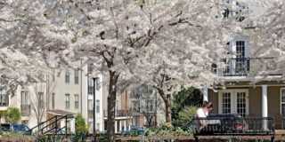 735 Walker Square 1B | Fantastic Walker Square One Bedroom Gallery 4