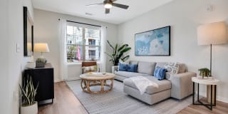 Arboretum West Gallery 91