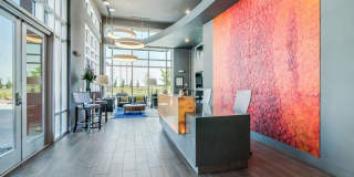 Harmony Luxury Apartments Gallery 23