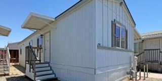 356 Petrol Rd Gallery 1