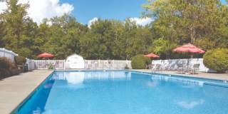 Wexford Village Gallery 16