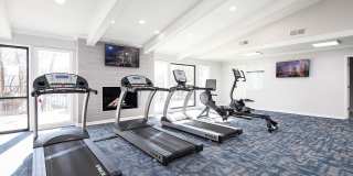 Arcadia Creekside Gallery 41