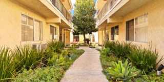Riverbridge Apartments Gallery 18