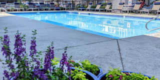 Park at Three Oaks Gallery 2