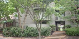 Poplar Pines Gallery 5