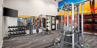 Acero Harvest Station Gallery 21