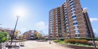 102 Monroe Street - 201 Gallery 4