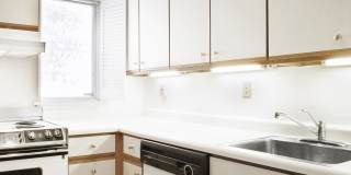 513 Shady Ave Gallery 3