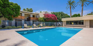 Palm Desert Gallery 4