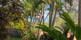 Tropical oasis Gallery 5