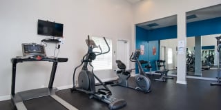 Parc at 5 Gallery 13