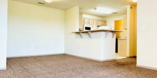 Large 3 Bedroom Apartment, Great Location! Gallery 4