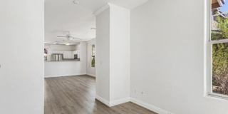 2520 Bottle Palm Court Gallery 7