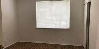 11010 Conch Court Gallery 9