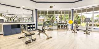 Olympus Carrington Gallery 24