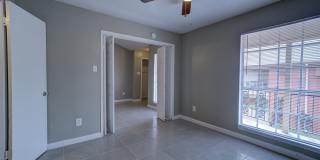 Ashford Buena Vista Gallery 7