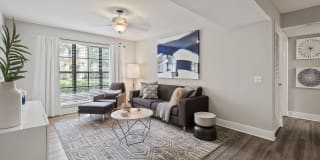 10X Port Royale 10X Port Royale Gallery 13