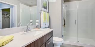 Tellus Apartments Gallery 9