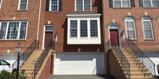 21831 LADYSLIPPER Square Gallery 1