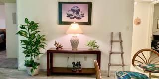 7430 E CHAPARRAL Road Gallery 11