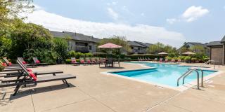 Woodland Meadows Gallery 1