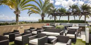 Vu New River Vu New River Gallery 24