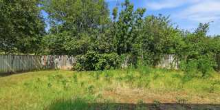 Fully Updated Single-Story Home with Greenbelt Views Gallery 24