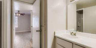 Rise on Cactus Gallery 97